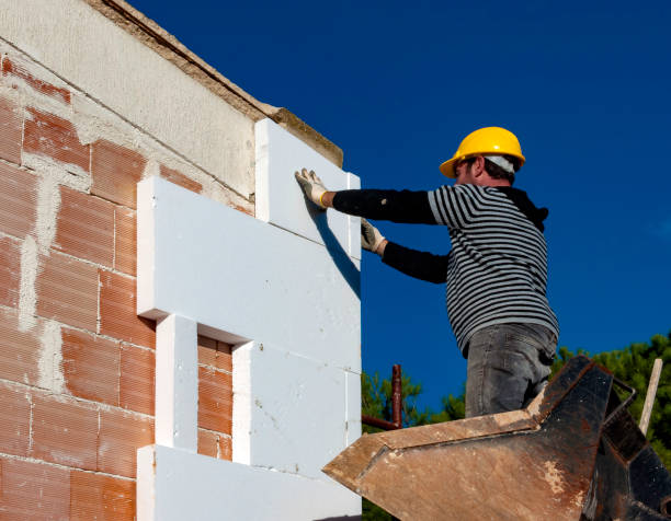 Best Insulation Inspection Services  in Chilhowie, VA