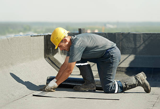 Best Crawl Space Insulation  in Chilhowie, VA